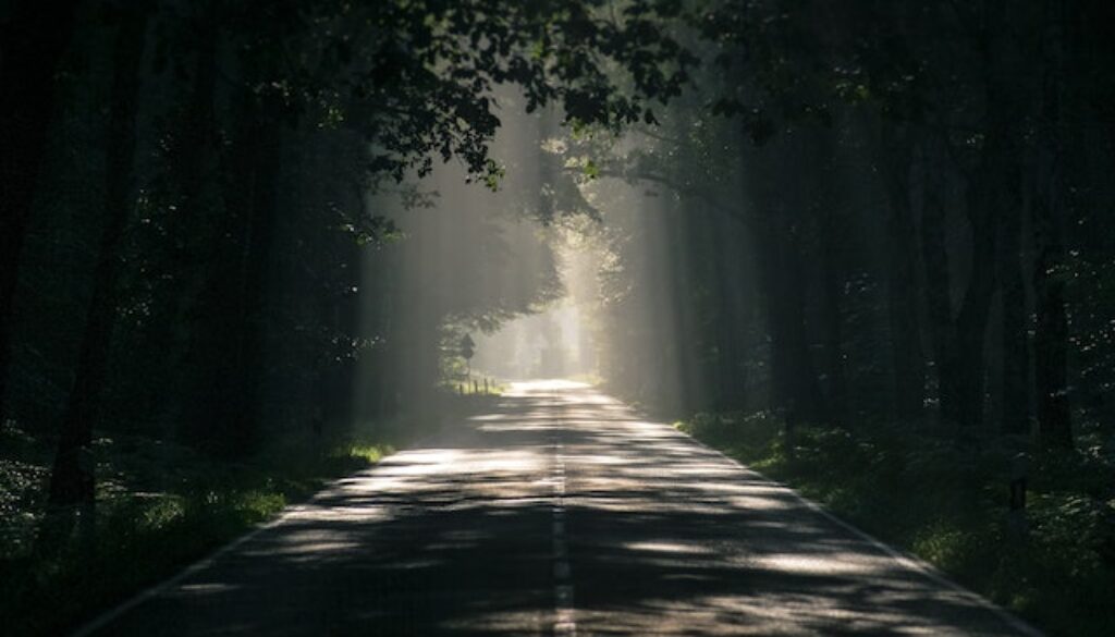 pexels-pixabay-531321