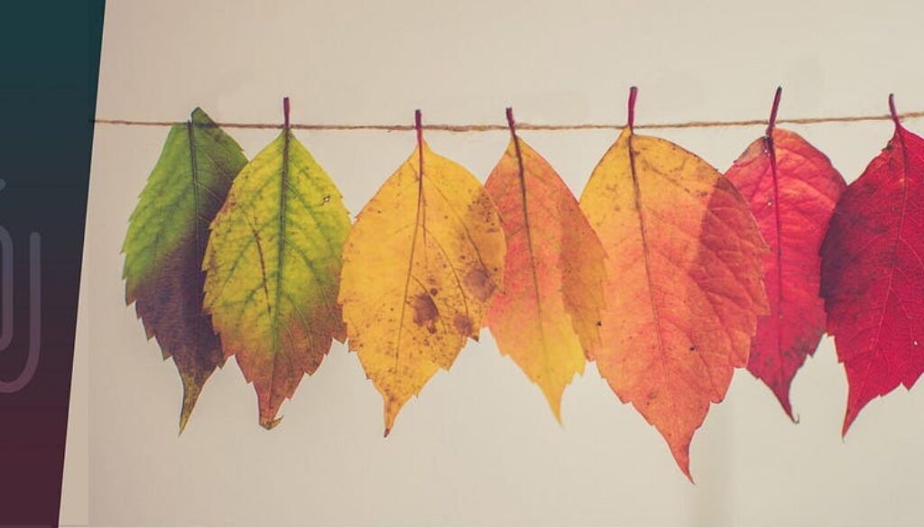 12Ax-Kp7JY6k6jhQM0FprL6Iw