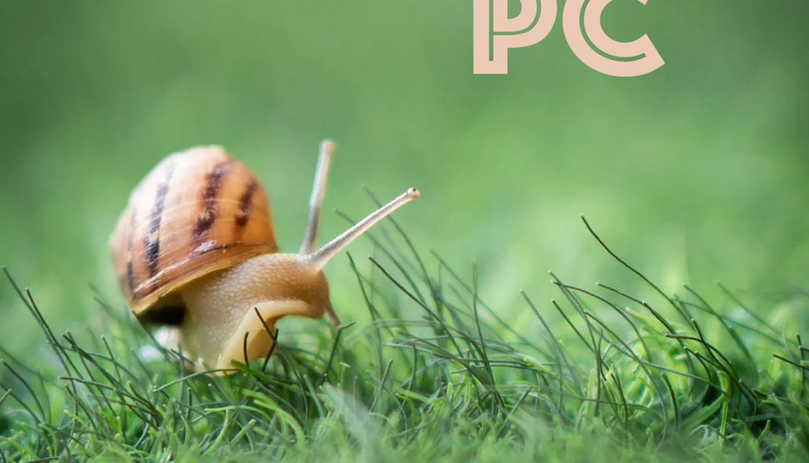 12AS7UanXT-_5fs4M41HvD1bQ